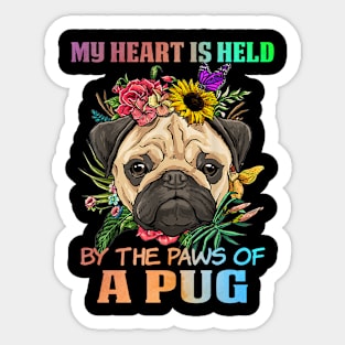 Cute pug Sticker